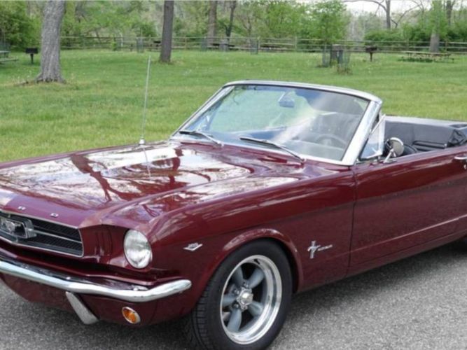 Unknown-Mustang-1965-4