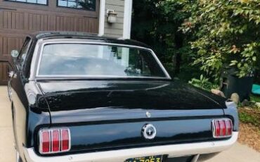 Unknown-Mustang-1965-4