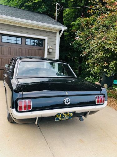 Unknown-Mustang-1965-4