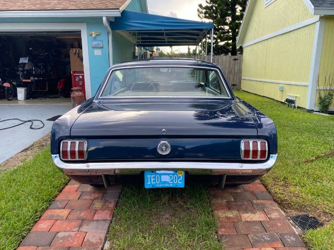 Unknown-Mustang-1965-4