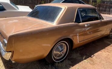 Unknown-Mustang-1965-4