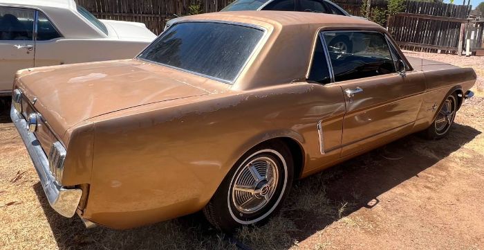 Unknown-Mustang-1965-4