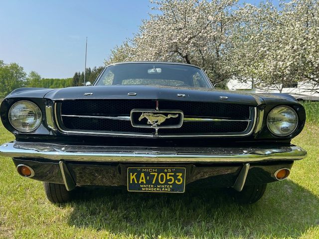 Unknown-Mustang-1965-5