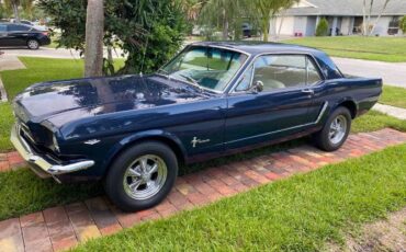 Unknown-Mustang-1965-5