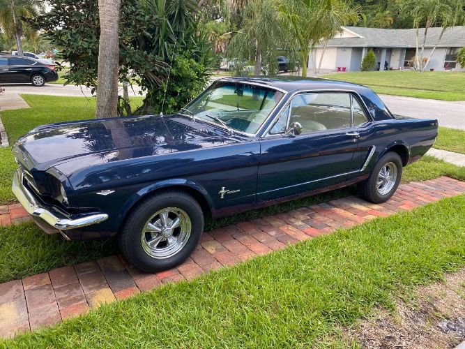 Unknown-Mustang-1965-5