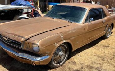 Unknown-Mustang-1965-5