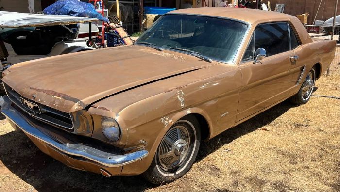 Unknown-Mustang-1965-5