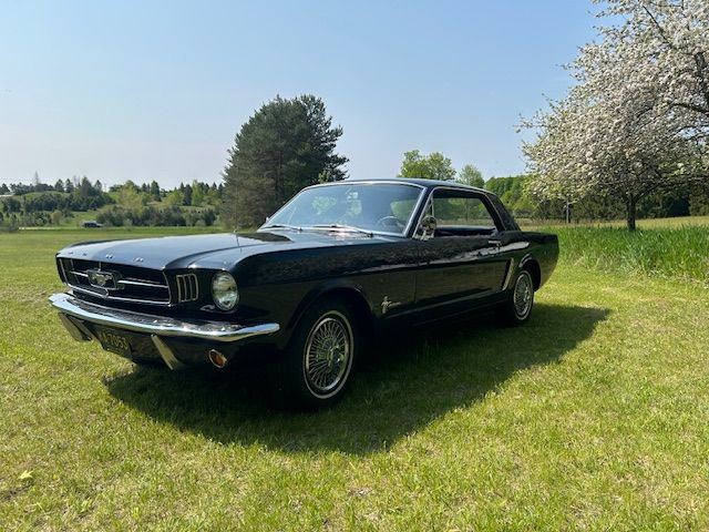 Unknown-Mustang-1965