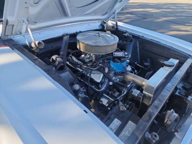 Unknown-Mustang-1965
