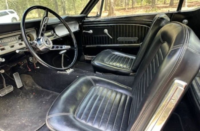 Unknown-Mustang-1965