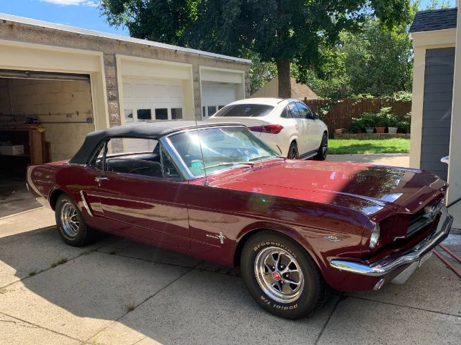 Unknown-Mustang-1965