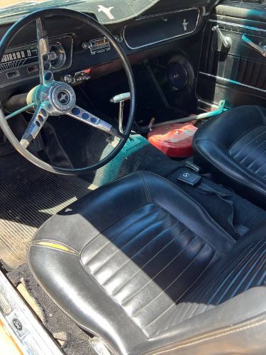 Unknown-Mustang-1965-6