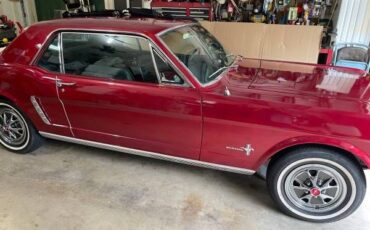 Unknown-Mustang-1965-6