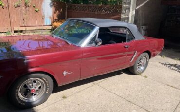 Unknown-Mustang-1965-7