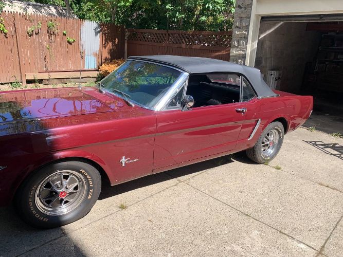 Unknown-Mustang-1965-7