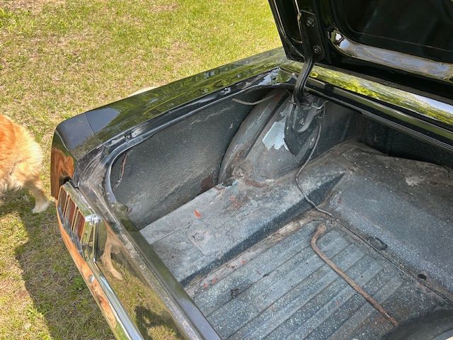 Unknown-Mustang-1965-7