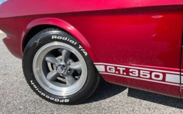 Unknown-Mustang-1965-7