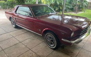 Unknown-Mustang-1965-7