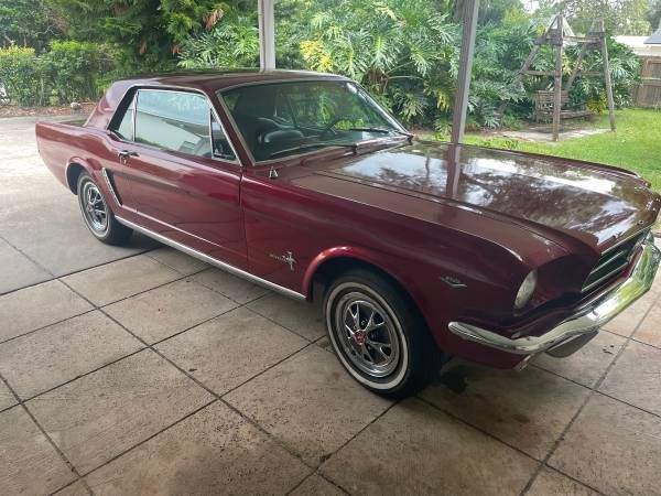 Unknown-Mustang-1965-7