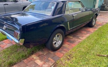 Unknown-Mustang-1965-8