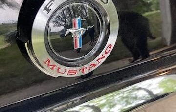 Unknown-Mustang-1965-9