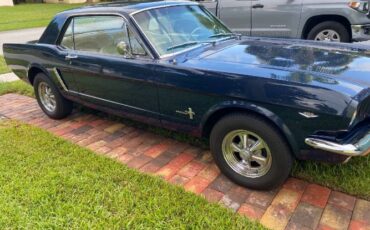 Unknown-Mustang-1965-9