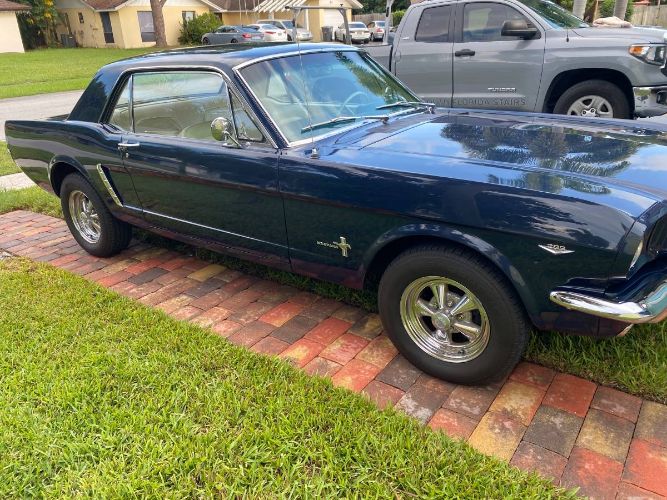 Unknown-Mustang-1965-9
