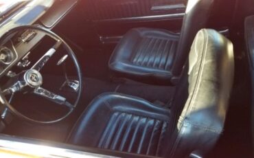 Unknown-Mustang-1965-9