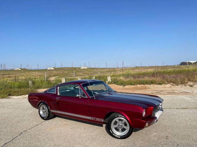 Unknown-Mustang-1965-9