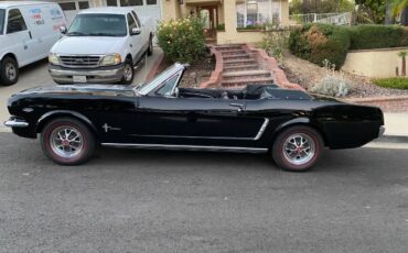 Unknown-Mustang-1965-Black-Black-Vinyl-12
