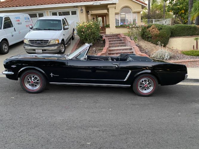 Unknown-Mustang-1965-Black-Black-Vinyl-12