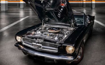 Unknown-Mustang-1965-Black-Black-Vinyl-3