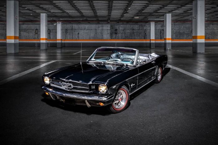 Unknown-Mustang-1965-Black-Black-Vinyl-4
