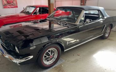 Unknown-Mustang-1965-Black-Black-Vinyl-5