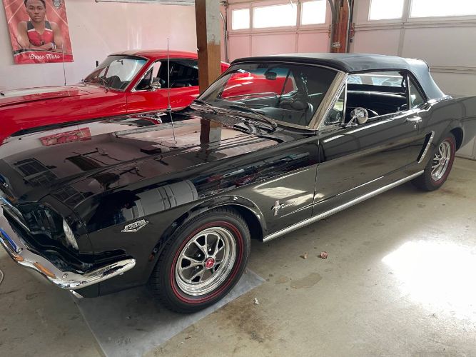 Unknown-Mustang-1965-Black-Black-Vinyl-5