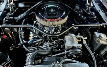 Unknown-Mustang-1965-Black-Red-6