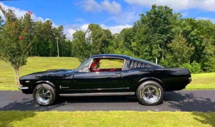 Unknown-Mustang-1965-Black-Red