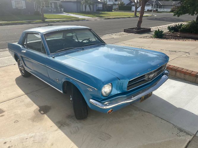 Unknown-Mustang-1965-Blue-1