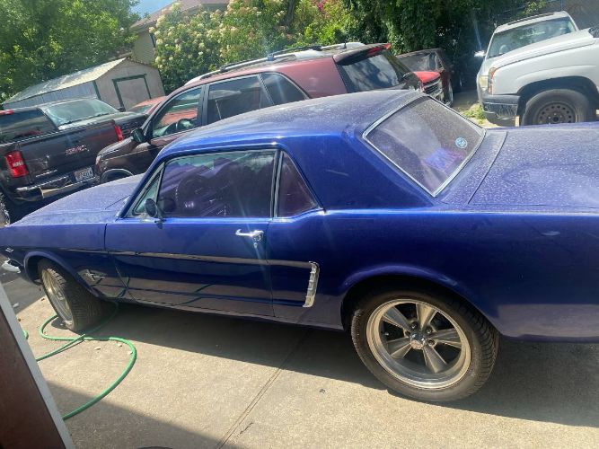 Unknown-Mustang-1965-Blue-3