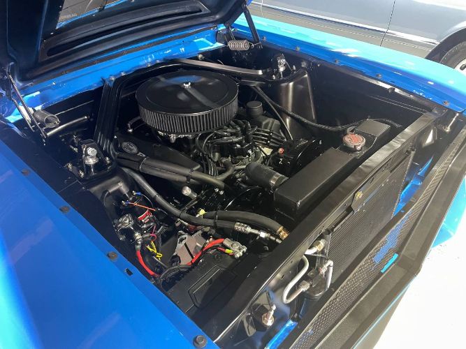 Unknown-Mustang-1965-Blue-8
