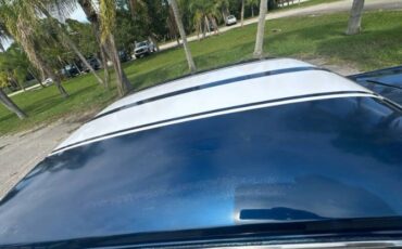 Unknown-Mustang-1965-Blue-Black-10