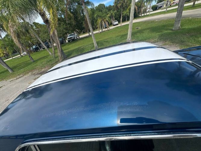 Unknown-Mustang-1965-Blue-Black-10