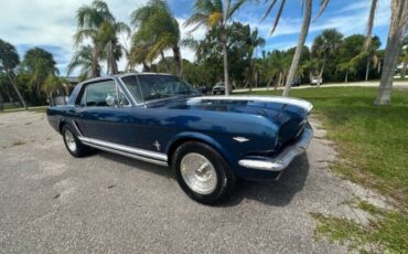 Unknown-Mustang-1965-Blue-Black-12
