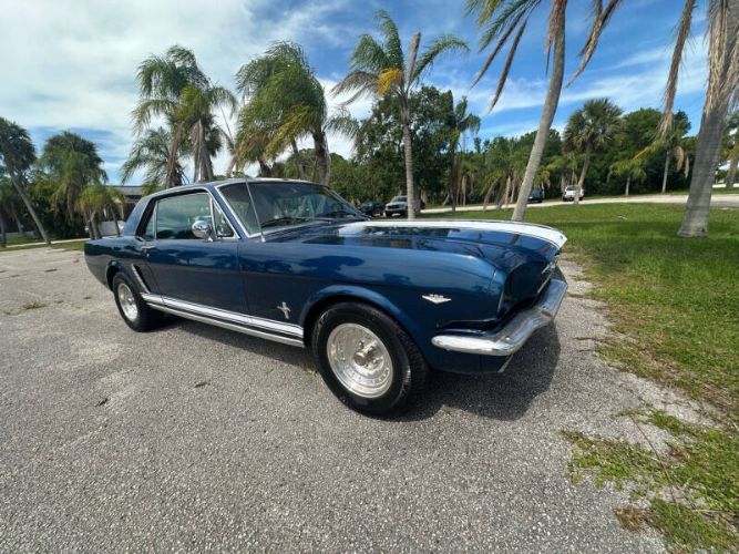 Unknown-Mustang-1965-Blue-Black-12
