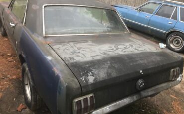 Unknown-Mustang-1965-Blue-Black-12