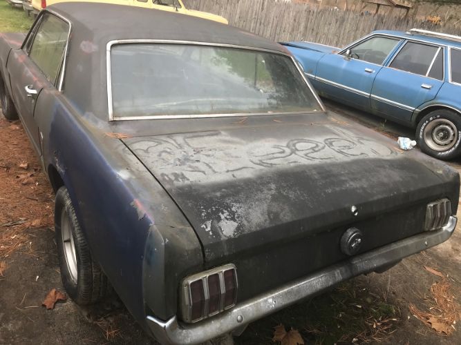 Unknown-Mustang-1965-Blue-Black-12