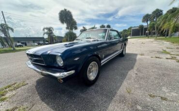 Unknown-Mustang-1965-Blue-Black-13