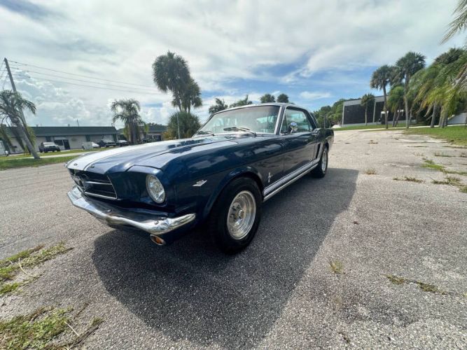 Unknown-Mustang-1965-Blue-Black-13