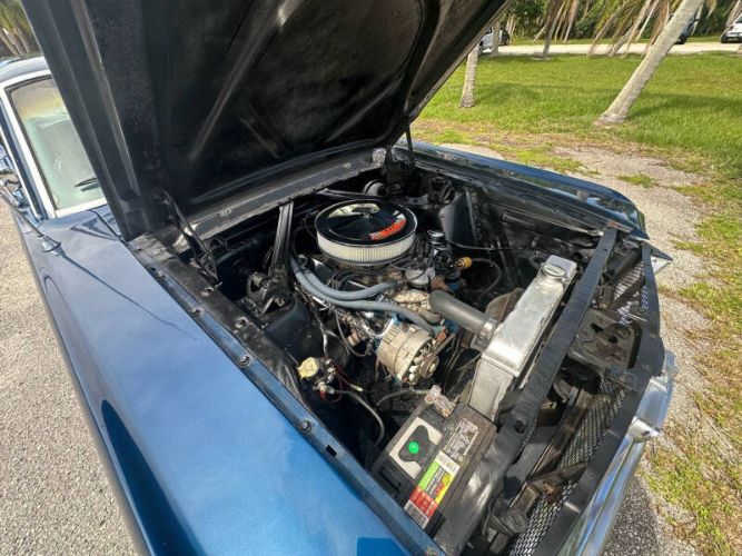 Unknown-Mustang-1965-Blue-Black-14