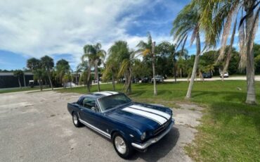 Unknown-Mustang-1965-Blue-Black-15